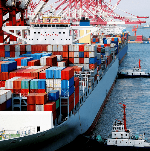 CFFWORLD gallery image 2