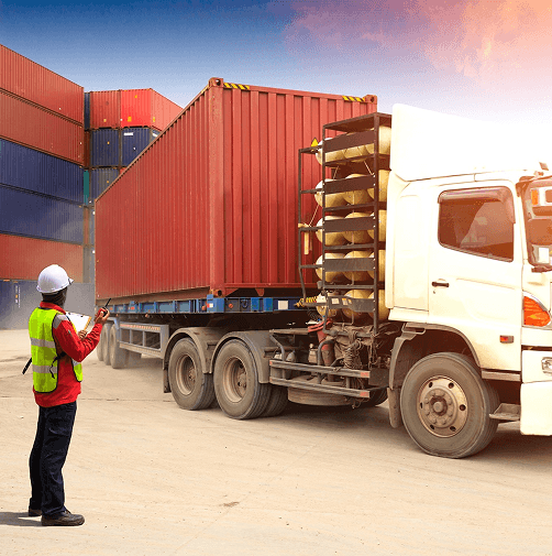 CFFWORLD gallery image 3